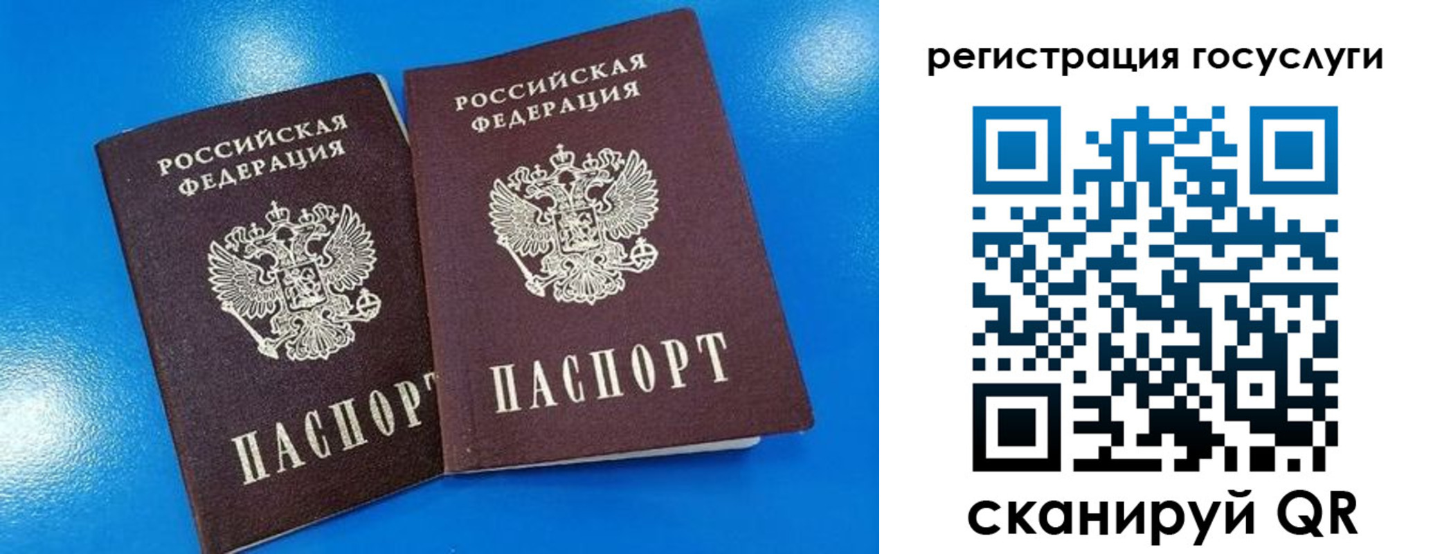 регистрация в Ярославской области